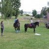 Ponyralley 149
